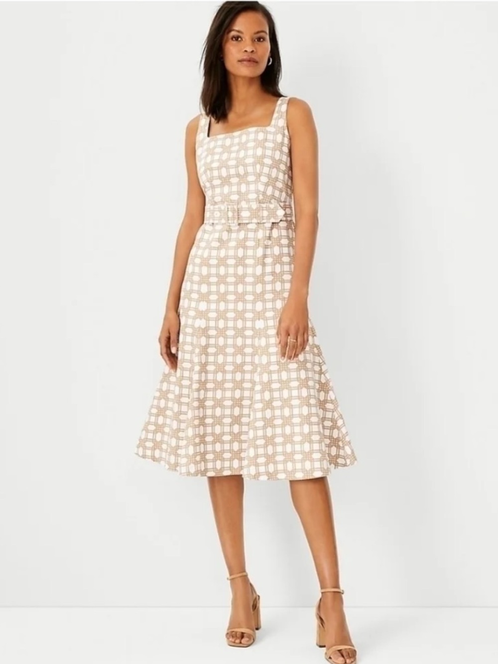 Ann Taylor Rattan Print Belted Flare Dress in Whiskey Cream Size 8 NWT